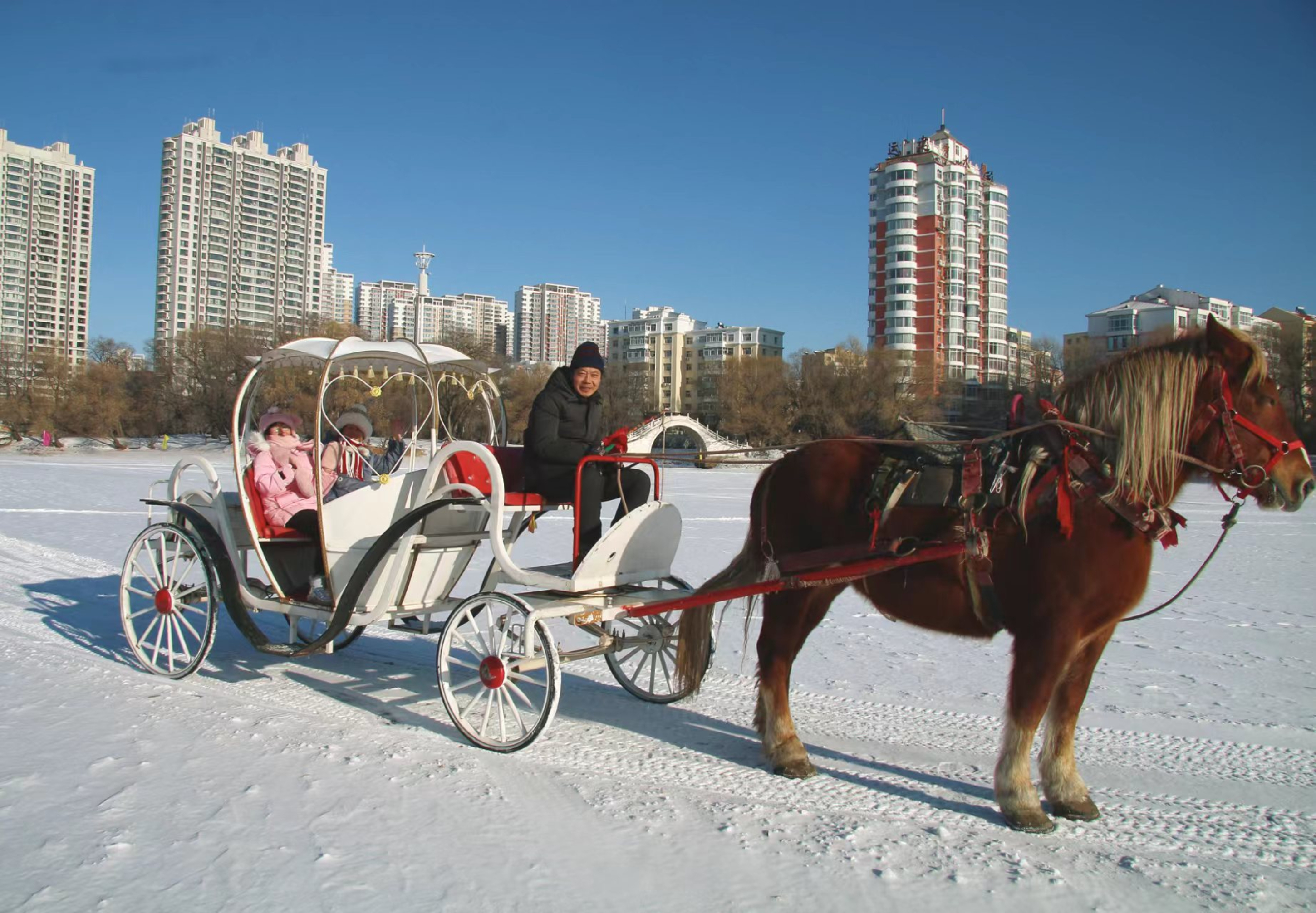 齐齐哈尔龙沙公园雪景图片